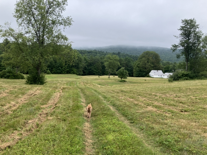 Chris Rogers - Class of 1978 - Concord-carlisle High School