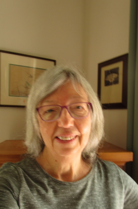 Mary Frederick - Class of 1965 - Spring-ford High School