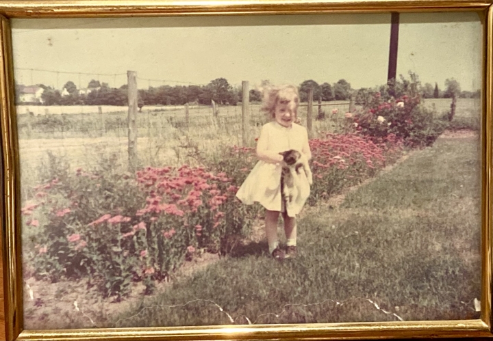 Patricia Waltz - Class of 1973 - Spring-ford High School