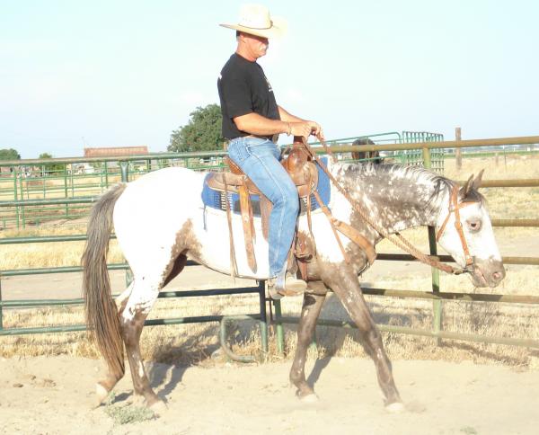 Tom Sneed - Class of 1974 - Holdenville High School