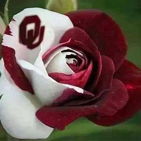 Heidi Morris - Class of 1998 - Midwest City High School