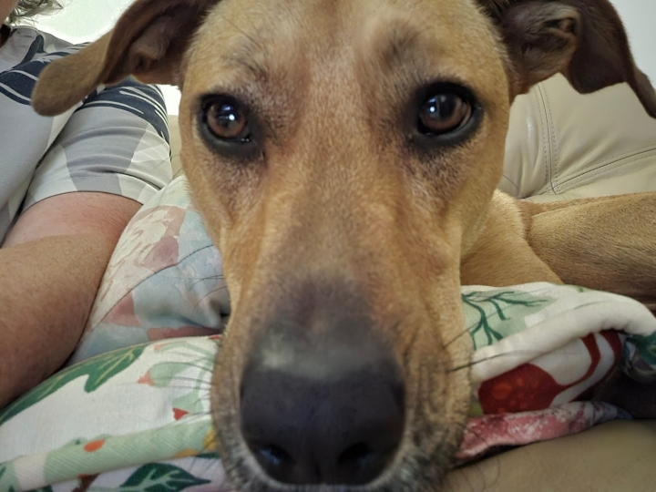 Marc Goldberg - Class of 1966 - Quincy High School