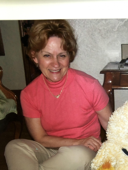 Nancy Herndon - Class of 1963 - Bayless High School