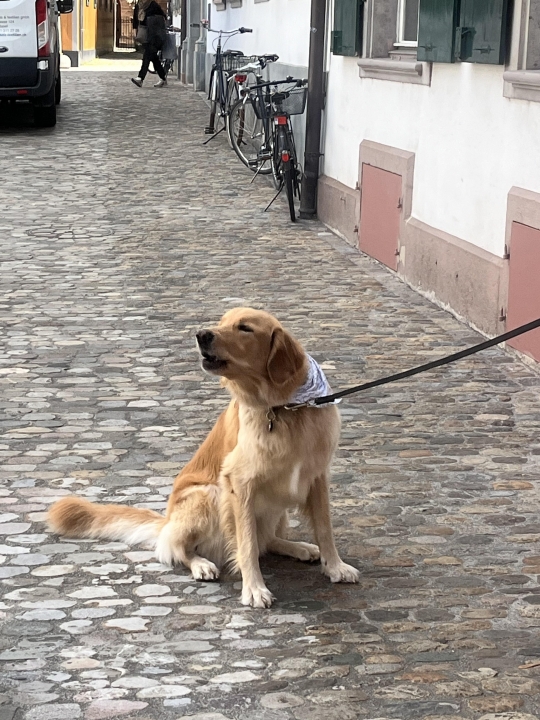 Dave Rickerson - Class of 1972 - Columbia-hickman High School