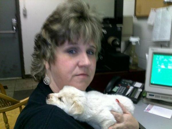 Patricia Chambers - Class of 1988 - Southaven High School