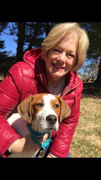 Marilyn Reed - Class of 1965 - Will Rogers High School