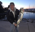 William (bill) Kesselring