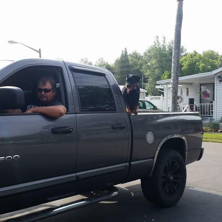 Kevin Brashears - Class of 1985 - Highland High School