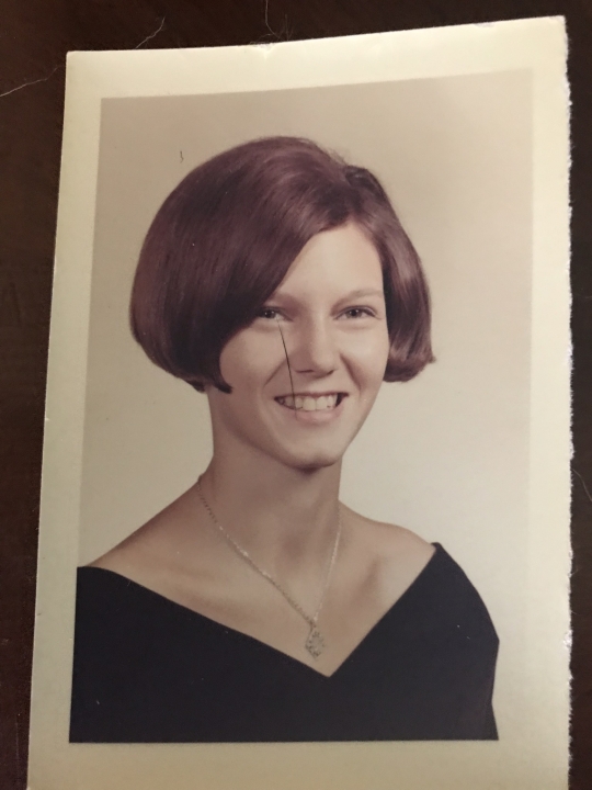 Jani Hauck - Class of 1969 - Vincennes Lincoln High School