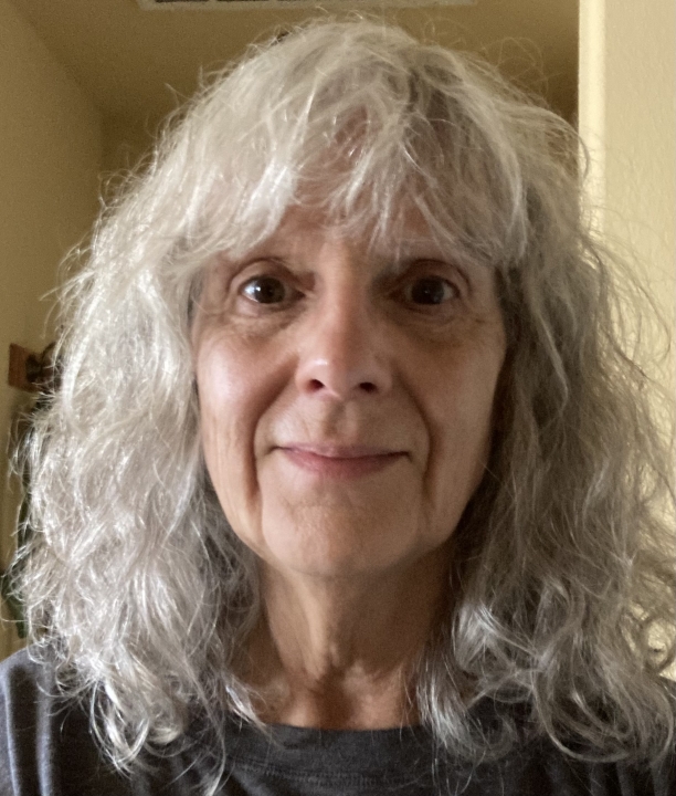 Carol Mclerkin - Class of 1972 - Kirkwood High School