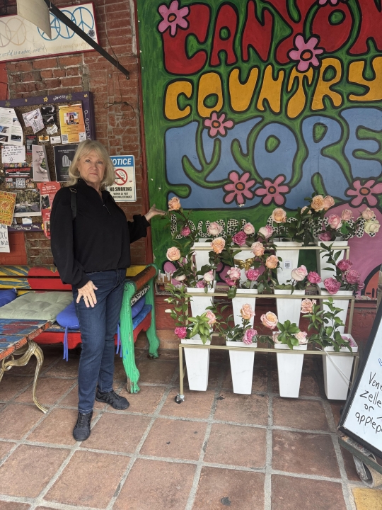 Karen Komaniecki - Class of 1972 - Glenbard East High School