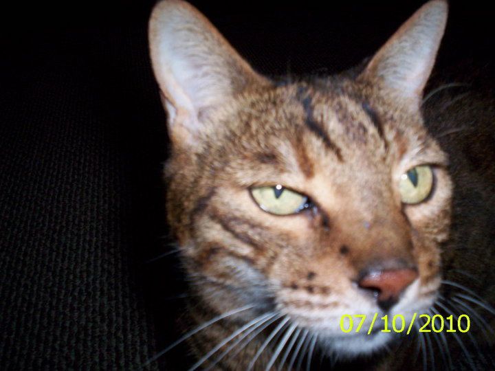 Eddy Crutcher - Class of 1979 - Ontario High School