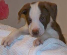 Carol Smith - Class of 1975 - Roanoke Rapids High School