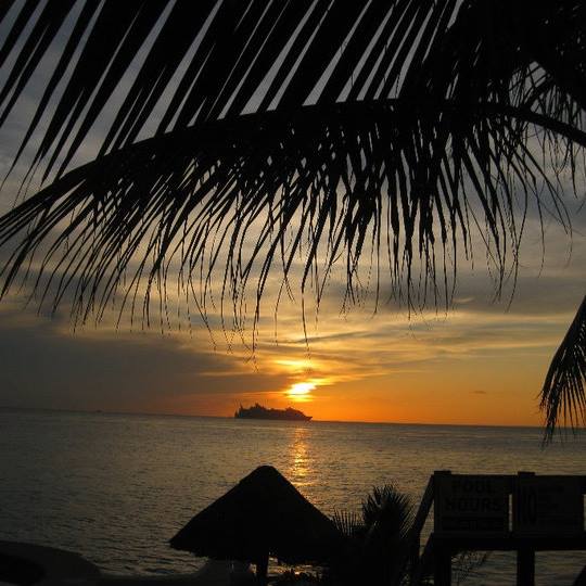 Dawn Sawin Herms - Class of 1979 - Doherty High School