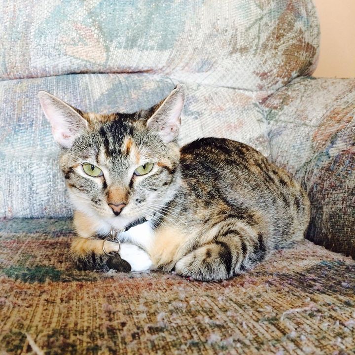 Jessica Milton - Class of 1995 - Lebanon High School