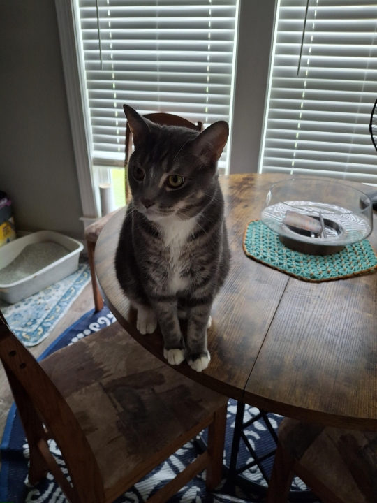 Julie Scarmack - Class of 1981 - Farrell High School