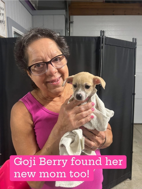 Rose Capone - Class of 1976 - University City High School