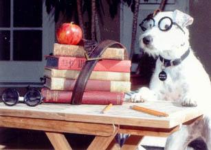 Rosemary Bonacci - Faculty - Berkshire High School