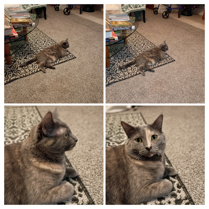 Deborah Deborah A Lucas - Class of 1976 - Hempstead High School