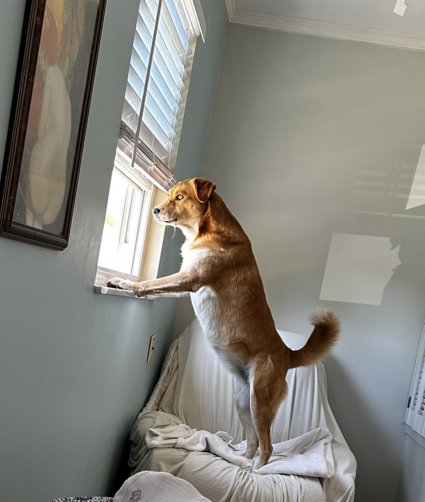 Terry Serena - Class of 1967 - Milford High School