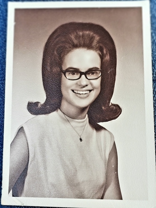 Karen Noel - Class of 1968 - Princeton High School