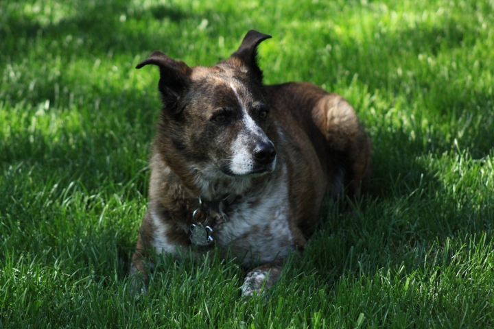 Scott Mellinger - Class of 1978 - Stow-munroe Falls High School