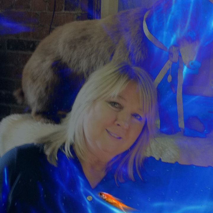 Sharlene Demsey - Class of 1974 - Valley Forge High School