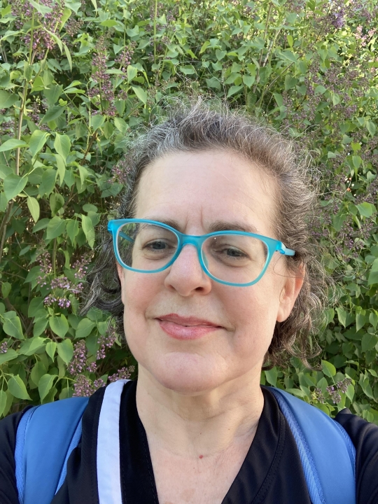 Iris Amdur - Class of 1984 - West Springfield High School