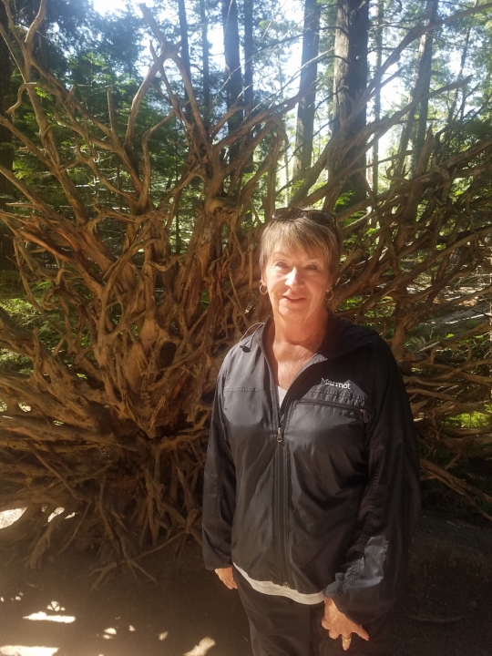 Cheryl Clark - Class of 1964 - Duarte High School