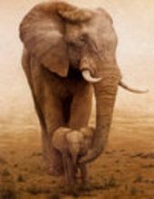 Gretchen Mullis - Class of 1991 - Appalachia High School