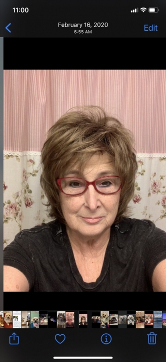 Teresa Venneri - Class of 1965 - Lincoln High School