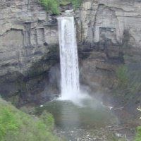 Diane Chapman - Class of 1979 - Northeast Bradford High School