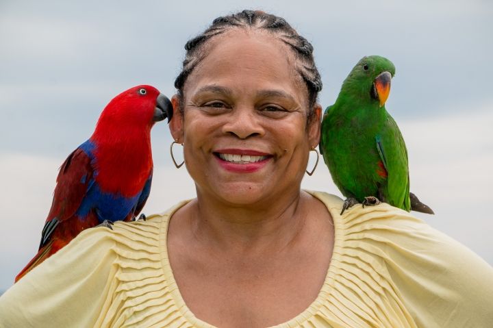 Sheila Stevens Hart Stevens - Class of 1967 - Overbrook High School