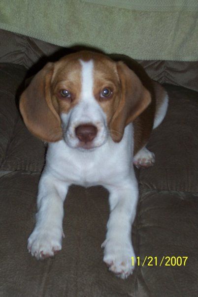 Linda Cieslukowski - Class of 1973 - Shenandoah Valley High School