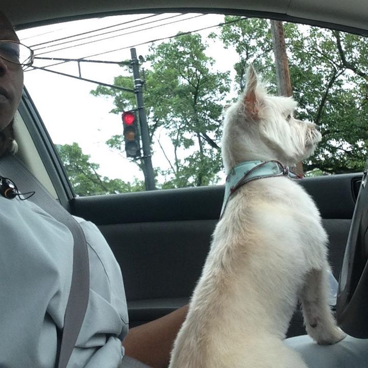 Renee King-gillens - Class of 1986 - Science Park High School