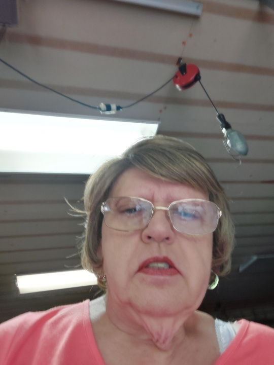 Debbie Collins - Class of 1968 - West York Area High School