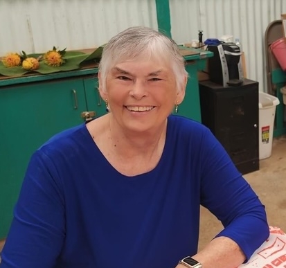 Donna Hawthorne - Class of 1966 - York High School