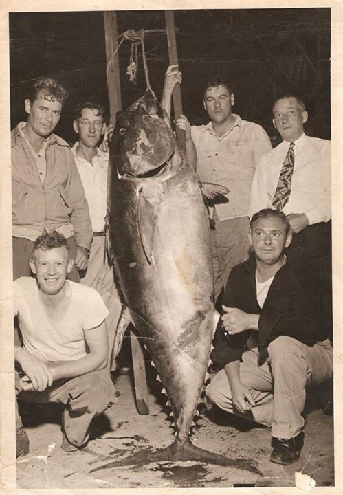 Jim Sisk - Class of 1956 - Bayonne High School