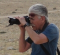 Michael Himmelstein