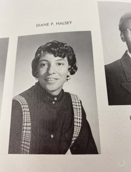 Pamela Halsey - Class of 1969 - Dwight Morrow High School