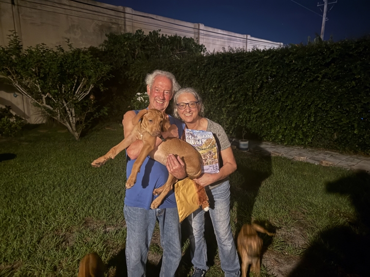 Lisa Carlo - Class of 1981 - Emerson High School