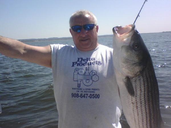 Robert Alessi - Class of 1974 - Highland Park High School
