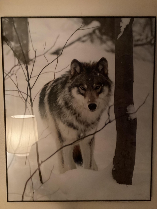 Alex Szuch - Class of 1973 - Ridgefield Memorial High School