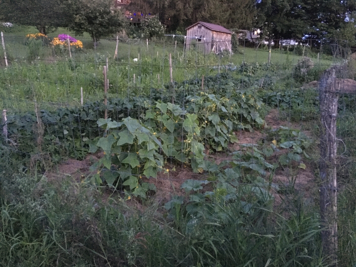 Jeffrey Kelsen - Class of 1969 - Mcgraw High School