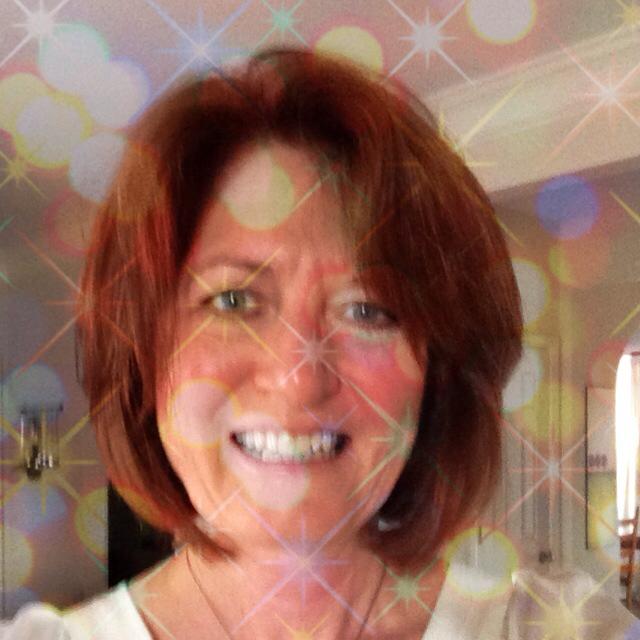 Robin Stein - Class of 1954 - Tonawanda High School