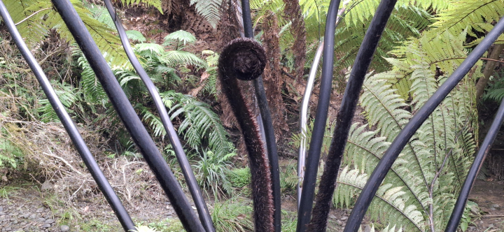 Robert Koerner - Class of 1995 - Williamsville North High School