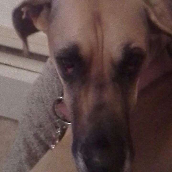 Elizabeth Bowhall - Class of 1994 - West Canada Valley High School