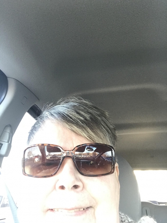 Arline Schumacher - Class of 1964 - Franklin K. Lane High School