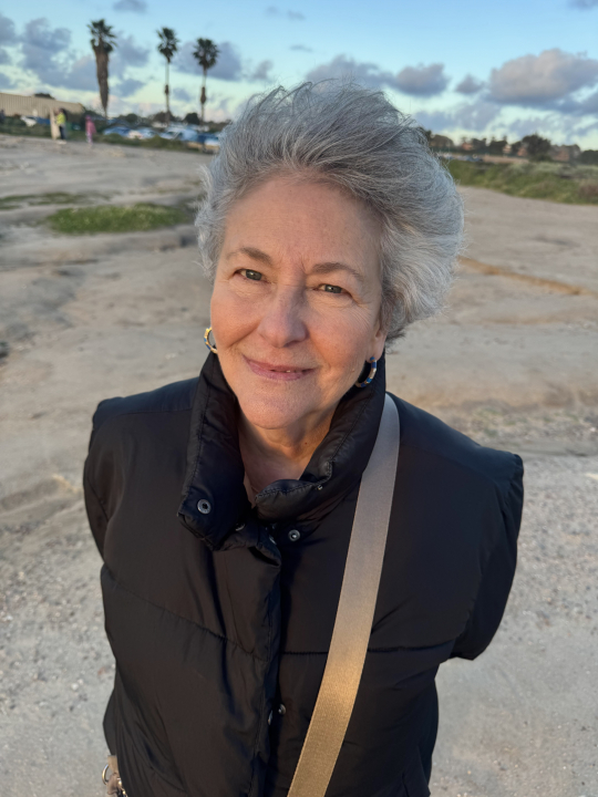 Leslye Froum - Class of 1963 - Samuel J. Tilden High School