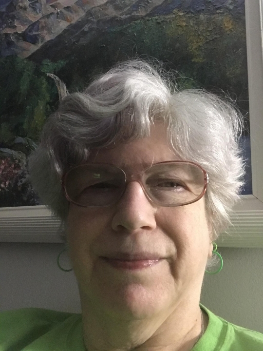 Shelley Dresner - Class of 1969 - H. Frank Carey High School